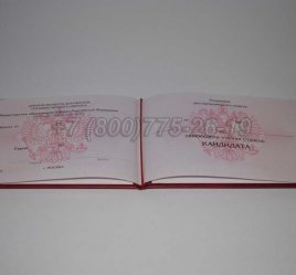Диплом Кандидата Наук 2016г в Калуге