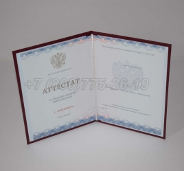 Аттестат За 11 Класс 2024г Золото ГОЗНАК в Калуге