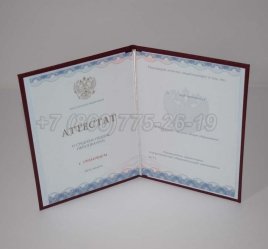 Аттестат За 11 Класс 2020г Золото ГОЗНАК в Калуге